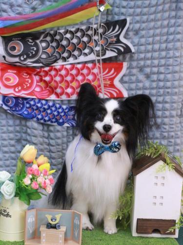 20230505ナナちゃん